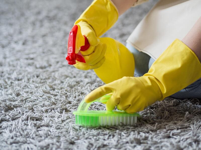Technician steam cleaning carpet with professional equipment