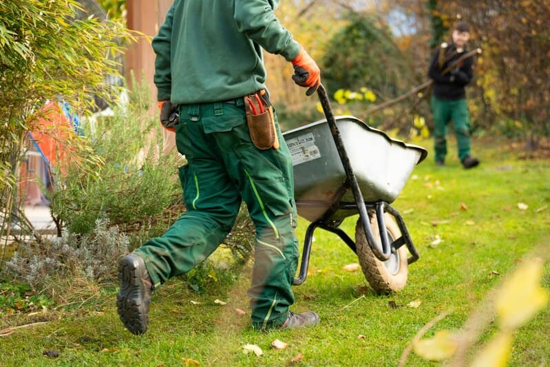 Lawn crew trimming and edging a residential yard
